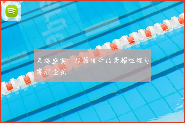 足球盛宴：绿茵传奇的荣耀征程与赛程全览